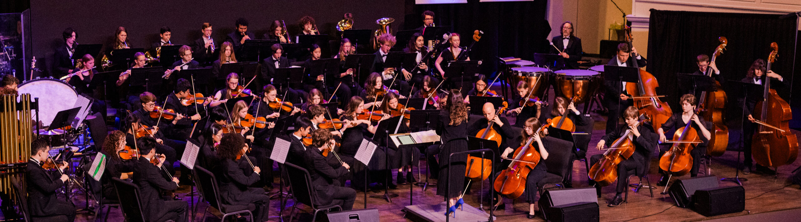 Lynchburg Symphony Youth Orchestra logo